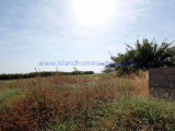 Land For Sale in Ayia Triada, Famagusta, Cyprus