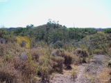 Property in ruins between Portimão and Monchique.