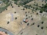 Farm with five hectares of land for sale near the city of Tomar.