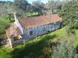 A beautiful farm with great views and full of potencial for sale very near to Tomar