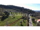 Excellent opportunity for land with architectural project for 2 houses and well with spring, Ferreir