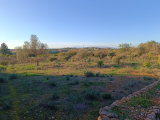 land For Sale in Silves Faro Portugal