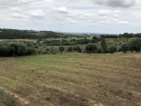 Land For Sale in Tomar, Santarém, Portugal