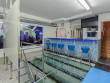 Commercial Unit For Sale in Santa Catalina, Las Palmas de Gran Canaria, LAS PALMAS