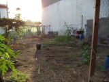 Plot For Sale in Carrizal, Ingenio, LAS PALMAS