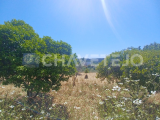 800 m² Land with urban potential near Castelo do Bode reservoir