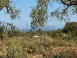 Sale Sea view plots of land Carovigno