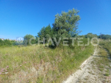 Land with 1440 m2 4 minutes from Tomar.