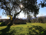 Algarve, Faro, Tavira, old house located on top of a hill