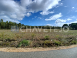 Land with 78,580 m2 near S. Pedro de Tomar.