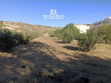 land For Sale in Albox Almeria Spain