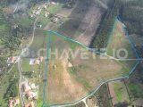 Land with 78,580 m2 near S. Pedro de Tomar.