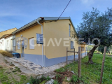 Cozy Semi-Detached cottage Near Tomar